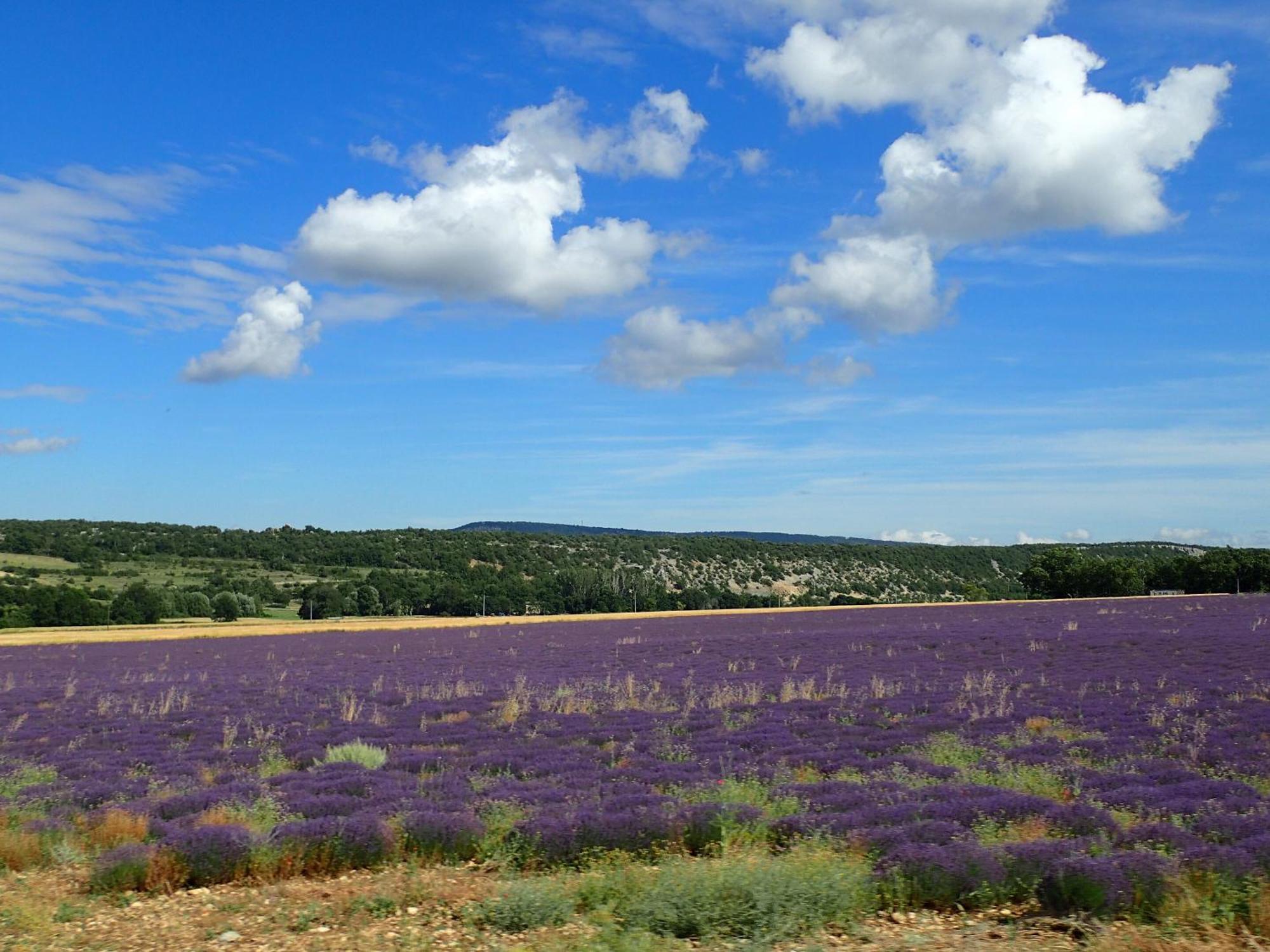 Gite De L'Aspa Saint-Christol  Экстерьер фото